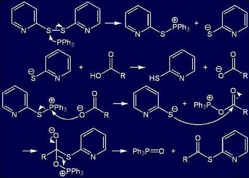 多肽合成 多肽合成