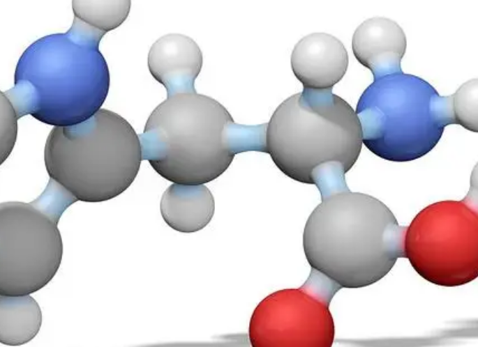 氨基酸功能 氨基酸功能