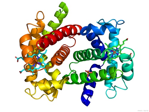 蛋白表达 蛋白表达