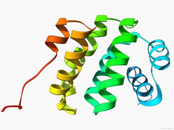 蛋白纯化 蛋白纯化