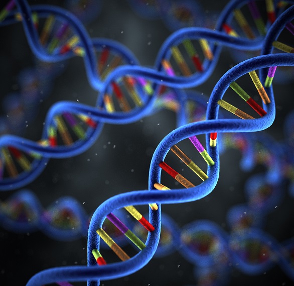 多肽合成荧光标记 多肽合成荧光标记