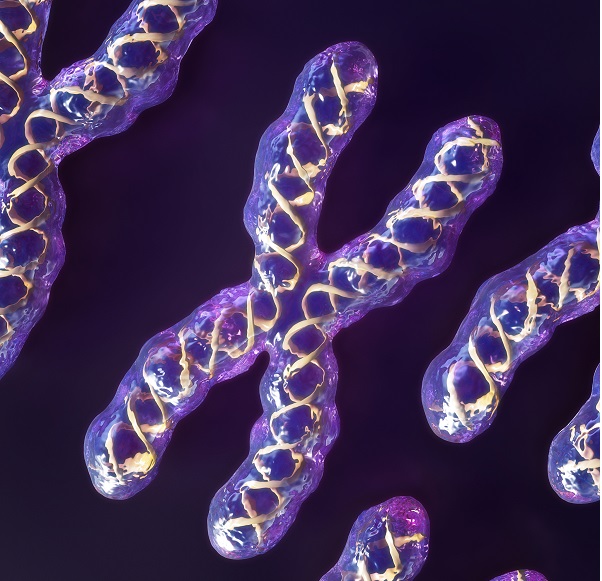 荧光蛋白标记 荧光蛋白标记