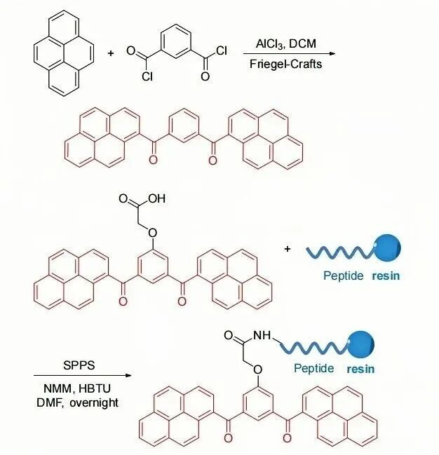 BP分子的合成方法及修饰多肽的方法